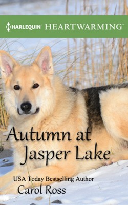 Autumn at Jasper Lake cover
